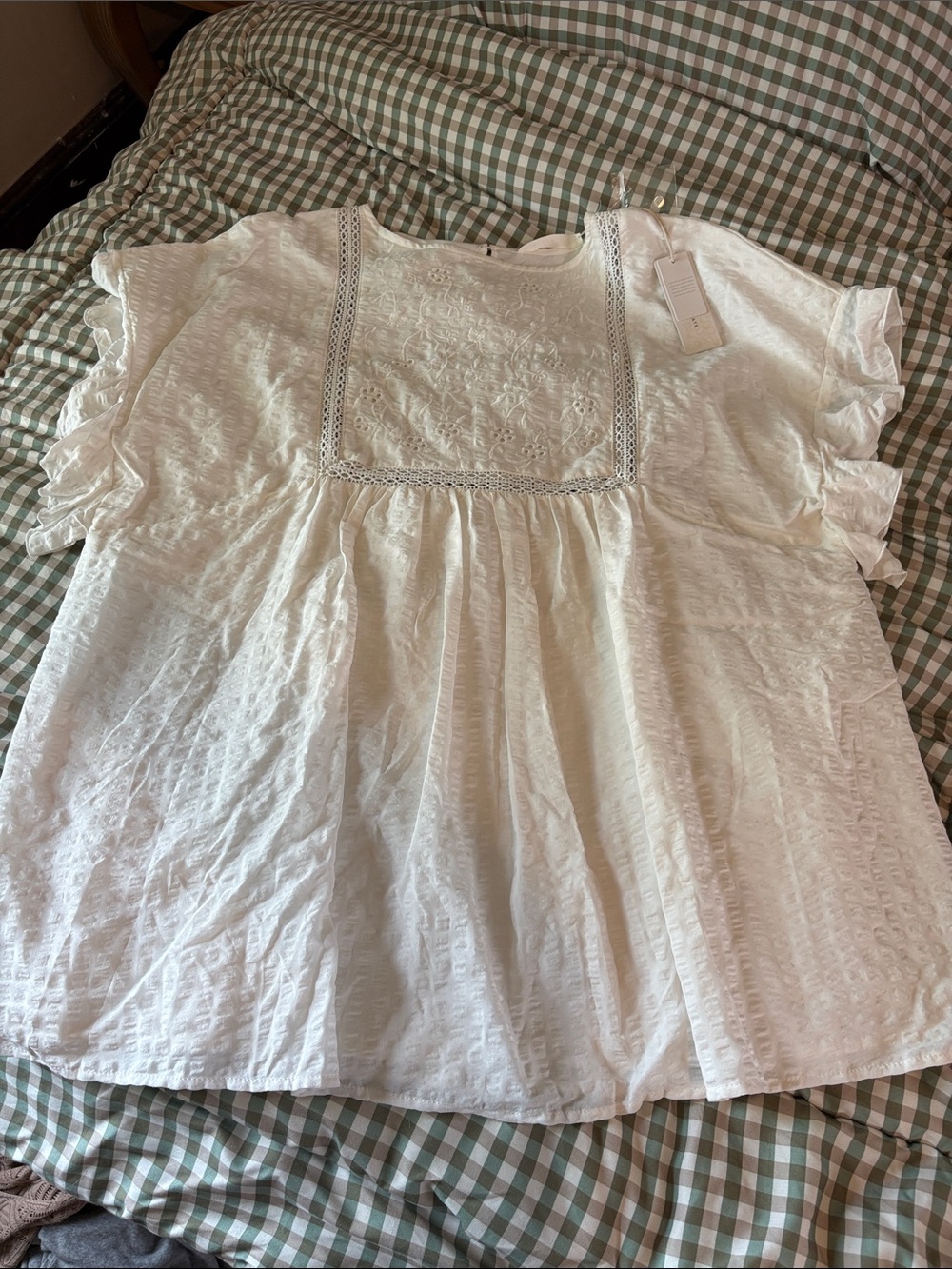 Altr’d State White Embroidered Mini Dress